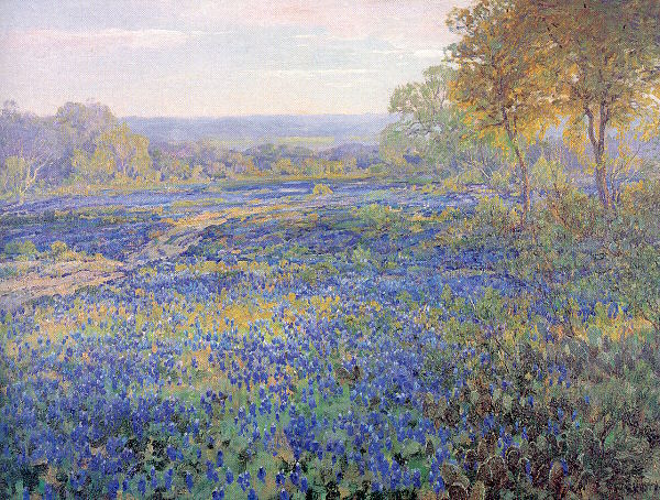 Fields of Bluebonnets